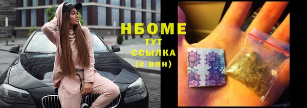 индика Зеленодольск