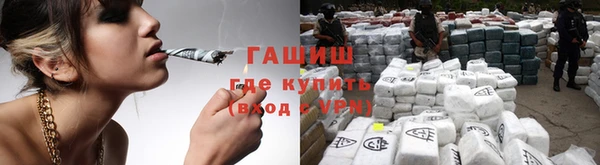 индика Зеленодольск
