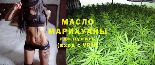 индика Зеленодольск