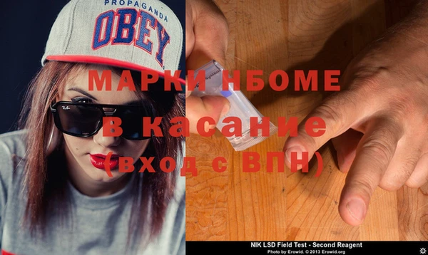 индика Зеленодольск