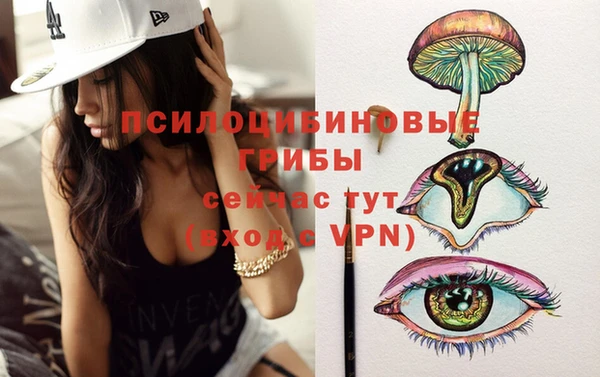индика Зеленодольск