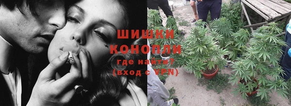 индика Зеленодольск