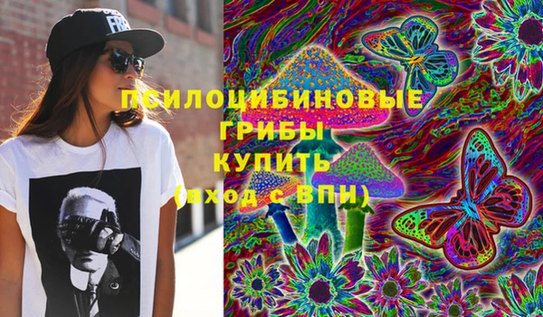 индика Зеленодольск
