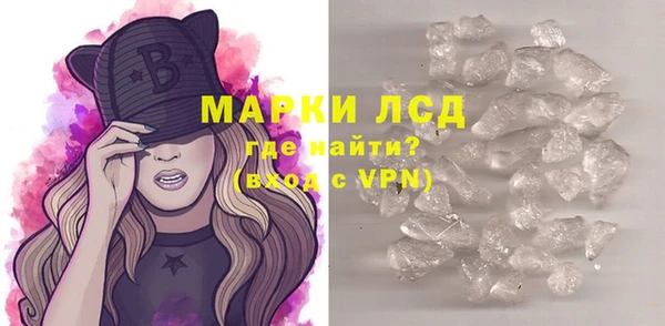 индика Зеленодольск
