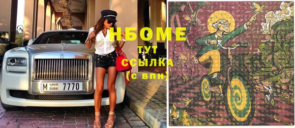индика Зеленодольск