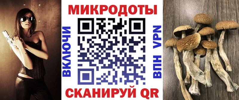 Купить закладки  Вязьма  Галлюциногенные грибы мухоморы 